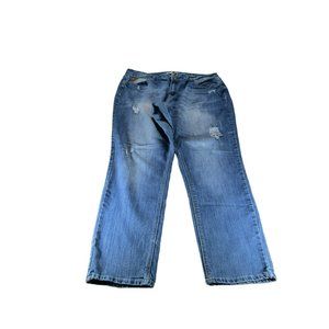 Est. 1946 Denim by Cato Jeans Plus Size Straight Leg Size 20W Distressed
